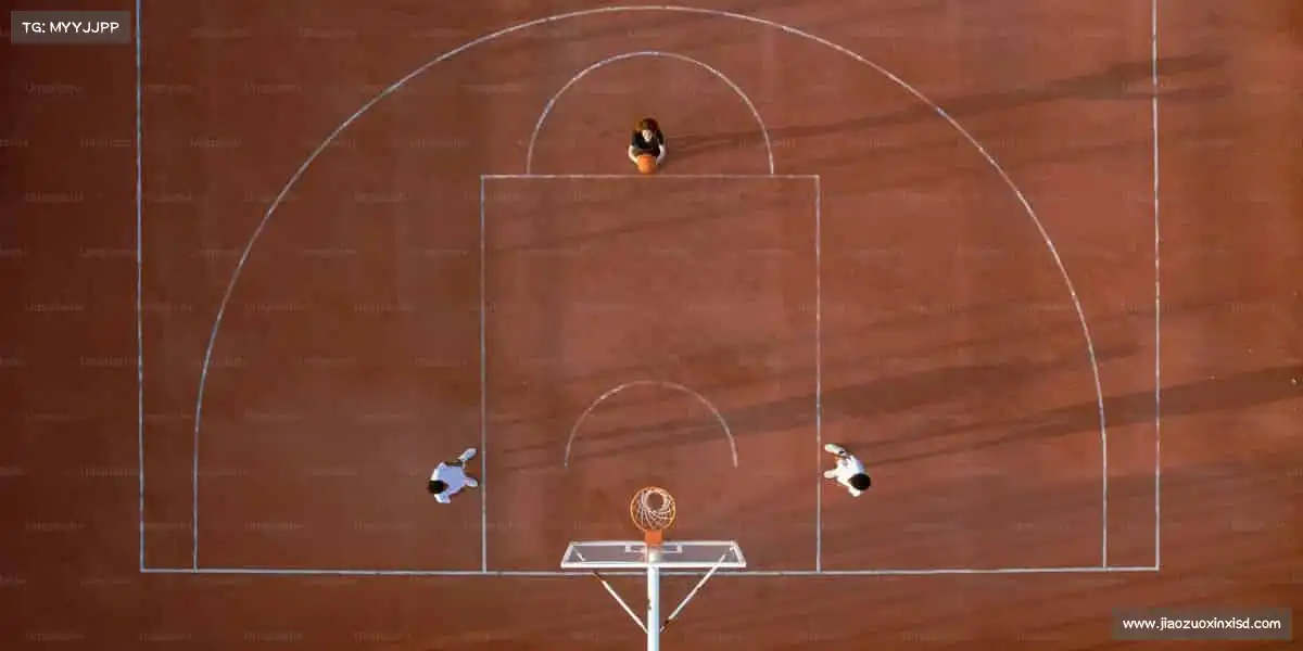 行业领先的理由